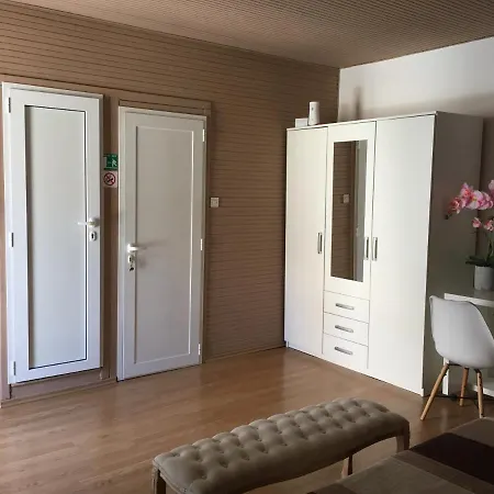 Διαμέρισμα Studio Apartman Mirijana 2+1 *