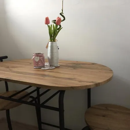 Διαμέρισμα Studio Apartman Mirijana 2+1 *