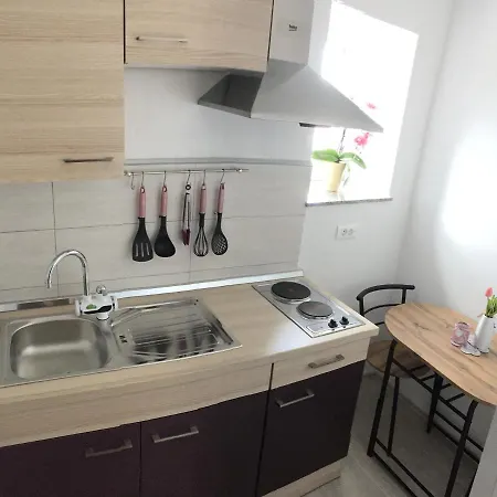 Studio Apartman Mirijana 2+1 * 巴莱